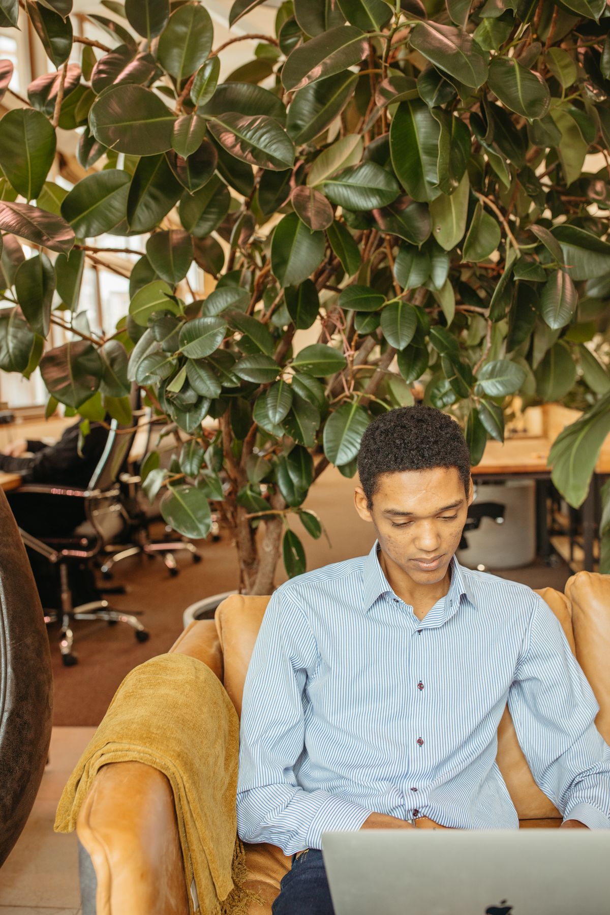Entrepreneur startup office team