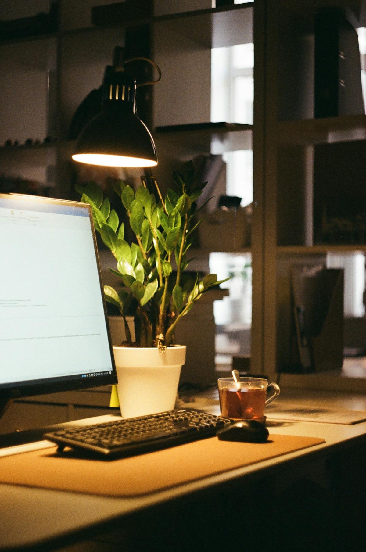 Professional working desk focus
