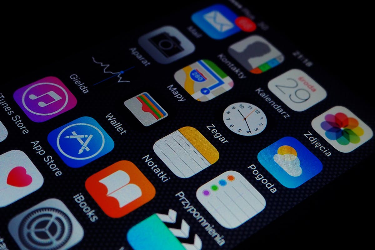 Wave Alternatives for Freelancers Who've Outgrown Free