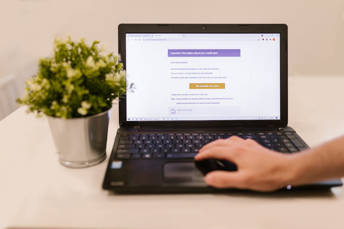 Xero vs FreshBooks: Which Is Better for Freelancers?